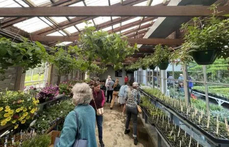 Green Animals Plant Sale 2023 cover